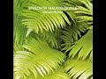 Edgar Froese – "Epsilon In Malaysian Pale" (1975)