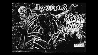 Agacoples - Running Through The Blood (Fear Of God cover)