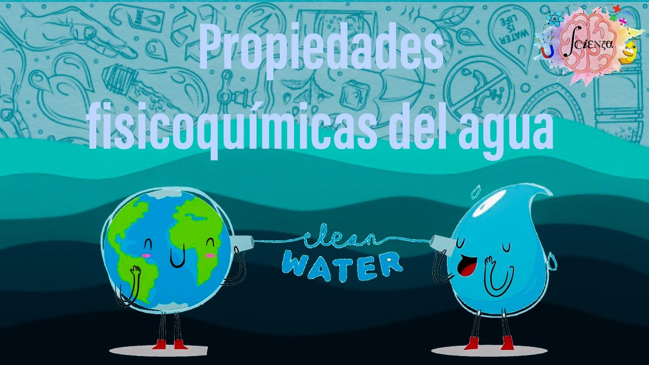 2.4 Propiedades fisicoquímicas del agua (adhesión, cohesión, tensión superficial y capilaridad)