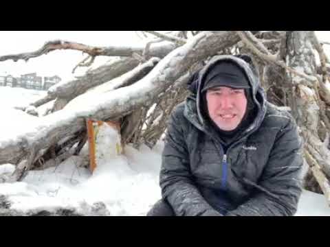 How I have cured my Trigeminal Neuralgia