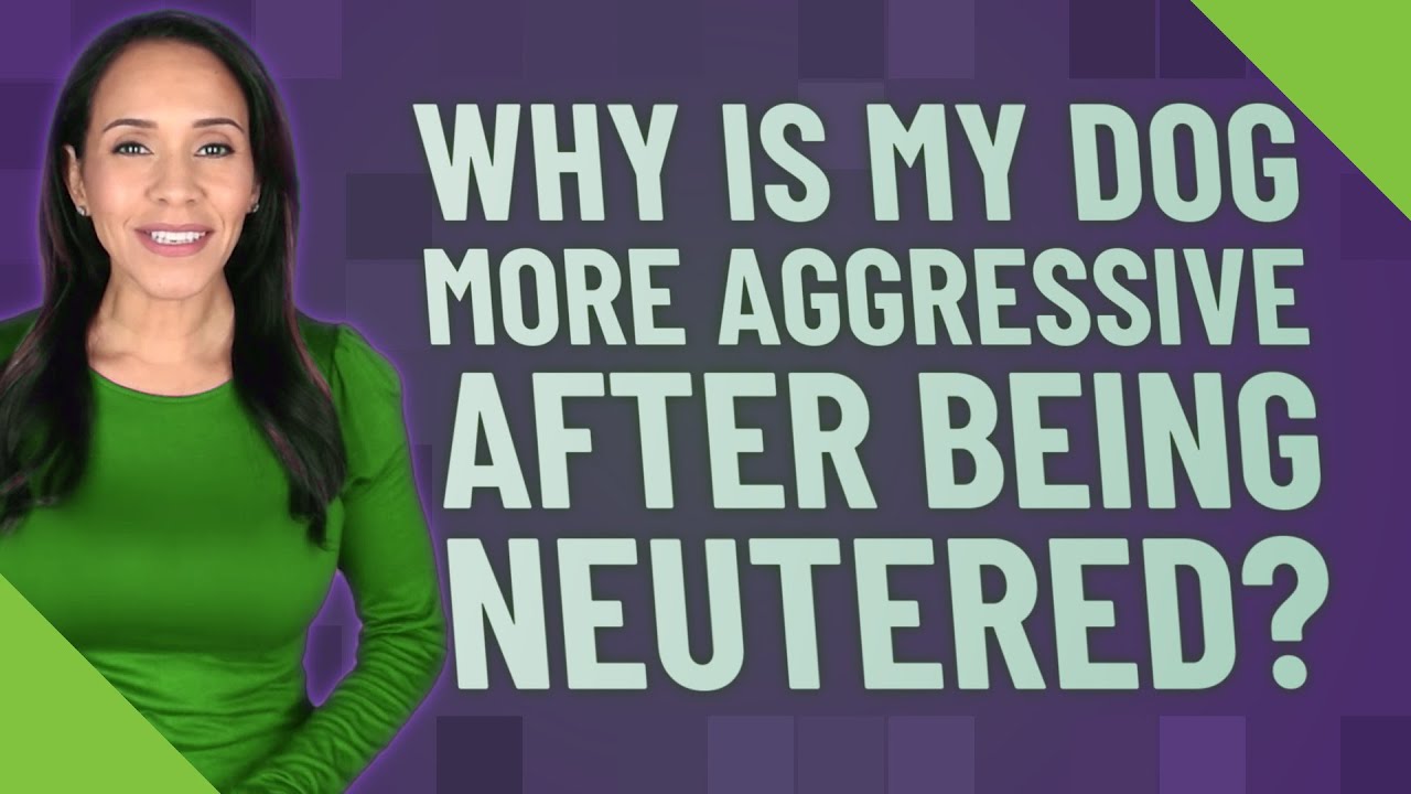 Who are the main characters in the story brave? Tipseri