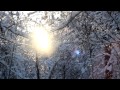 Киевская зима 