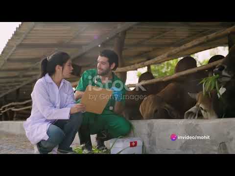 Cloprostenol Injection For Veterinary Use Only 2 ml