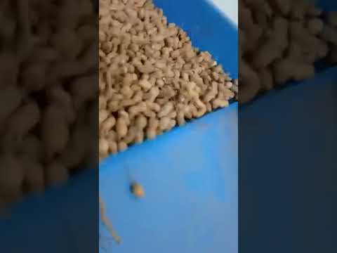 7 hp dubble destoner