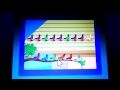 Play With Me Sesame Pigeon Pattern