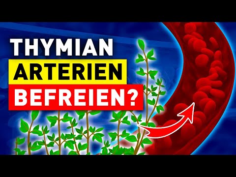 Iss Thymian, um deine Arterien zu reinigen und dein Herz-Kreislauf-System zu stärken!
