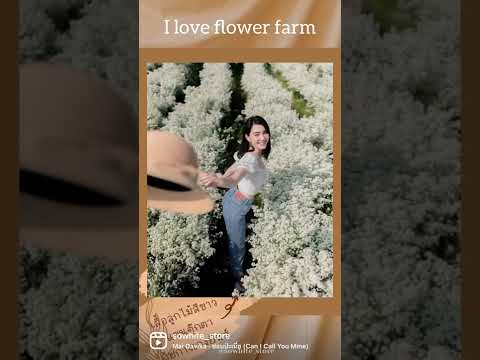 🌼ไอเดียแต่งตัวไปถ่ายรูปสวนดอกไม้ที่เชียงใหม่สไตล์ดาวิกันค่ะ เป็นสไตล์มินิมอลที่ดูน่ารักมากๆ