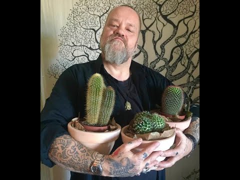 MASTERBÜHL  -  MÄNNERPFLANZE