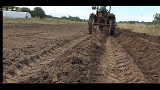 Baulatrice accattocompatibile