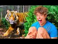 Living With A Tiger For 24 Hours