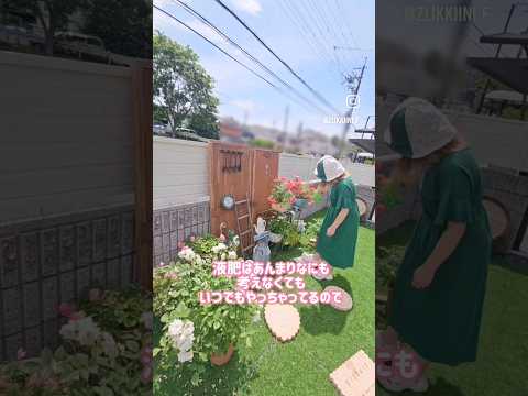 乾燥した石の多い土壌に適した植物: トップ 6 を見つけて庭を強化しましょう!  庭園