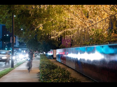 Monarch Fairy Lights