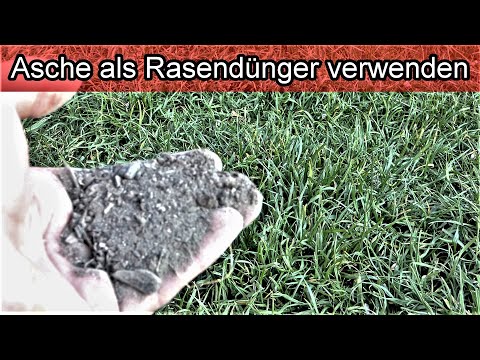 Rasen mit Asche im Garten düngen - Asche als Rasendünger – Rasen Pflegen / Tipps für den Garten