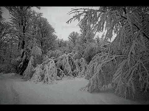 Femtanyl - Dogmatica (extended)