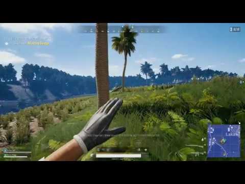 2nd PubG Win (Miles54321 + Wolf's Rain + Gohan + Monster Dingz [Morten Dingo])