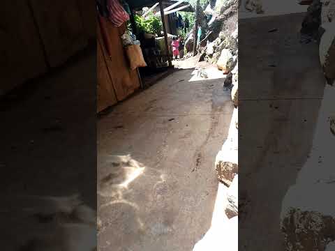 1 de febrero de 2026