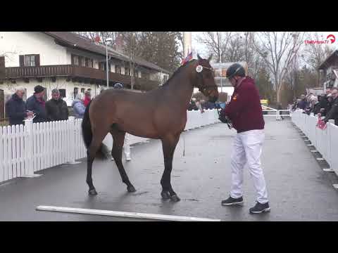 Lot 28 v. For Pleasure / Diamant de Semilly