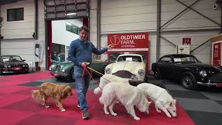 Walkaround in the showroom.