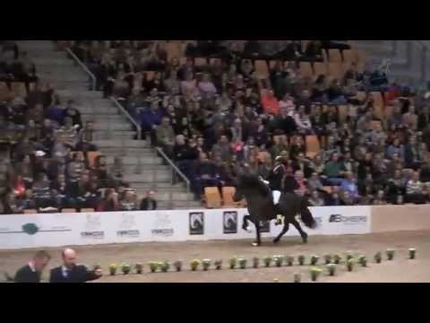 Gletting vom Kronshof (V: Teigur vom Kronshof) ODENSE 2015