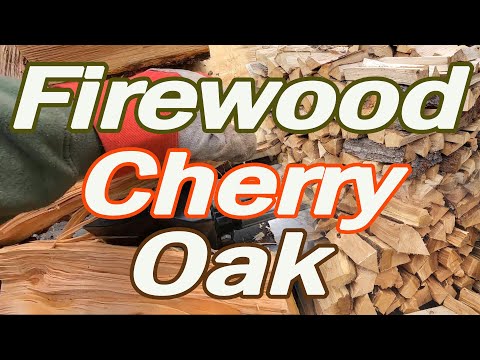 Splitting Firewood | Cherry | Oak