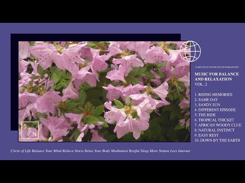 🌸🌺TOMASZ BEDNARCZYK - MUSIC FOR BALANCE AND RELAXATION VOL.2  (2020) Full Album Cassette