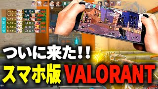 日本人最強プレイヤーHighlight【VALORANTモバイル】