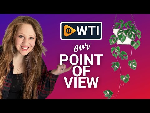 Monstera Hanging Plants - WTI product video review