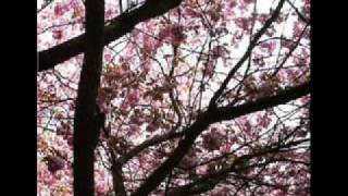 Current 93 - Hypnagogue (A dream prologue) part ii