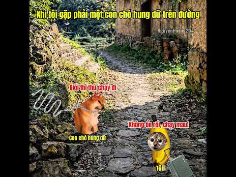Khi tôi gặp phải một con chó hung dữ trên đường #meme #catmeme
