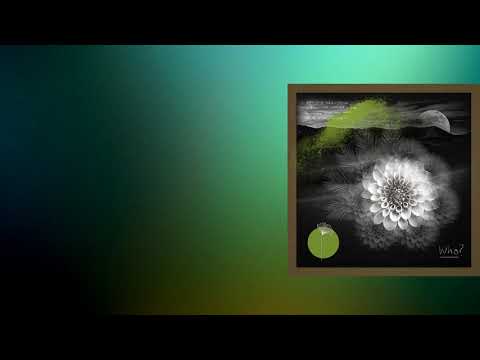 DJ Chus, Tosz, Rosewall - Who (Haze-M Remix) [REDOLENT]