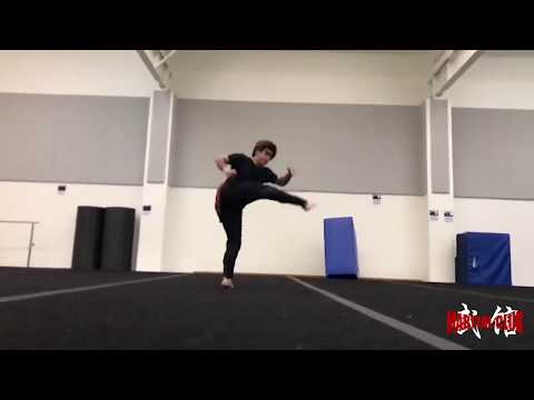 TAIJUTSU 体術 | Andy Lee | Martial Arts | Trick [HD]