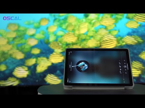 Планшет Oscal Pad 13 8/256GB 4G Dual Sim Space Grey