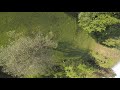 Summertime @ Stenberg | FPV Freestyle | Raw and uncut! 🚀