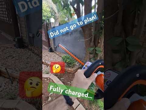 Stihl Hsa45 hedge trimmer vs this thin stick 🤔 #michaelstoolbench #stihl #hsa45