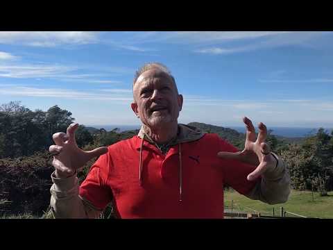 Vortex Healing Centre