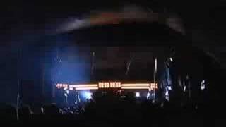 shihad-all the young fascists