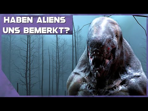 Wollen Aliens uns vernichten? Die Dark-Forest-Theorie