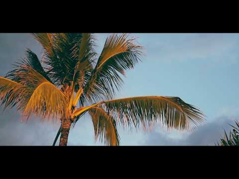 The Rellies -  Lil Momma