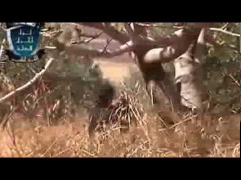 استهداف حاجز الحماميات في ريف حماة  بواسطة الرشاشات المتوسطة و الثقيلة من قبل لواء أحرار العشارنة