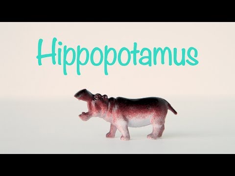 Learn Letters and Animal Names With Miniature Animals
