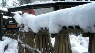 preview picture of video 'G Scale Trains Plowing Snow in Maltby, WA (part 2)'