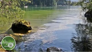 Relaxe : Msica para Dormir e acalmar a mente - Bons sonhos