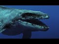 Mosasaurus roar