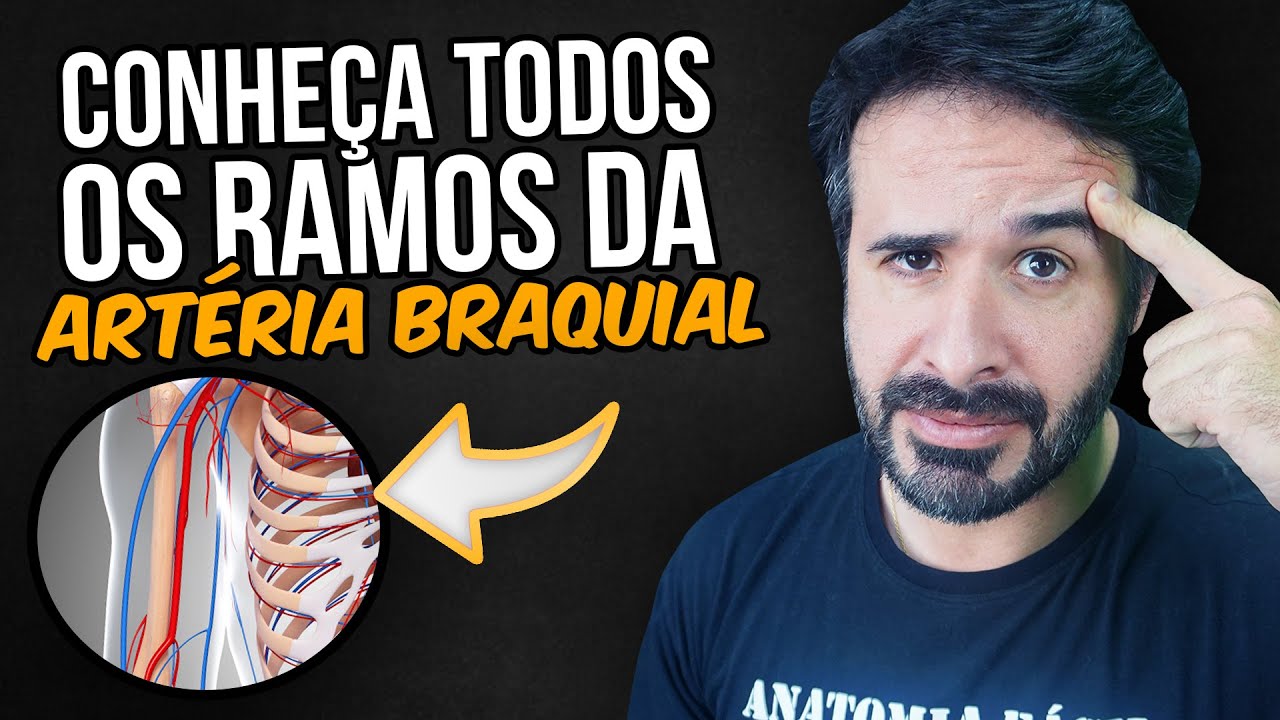 CONHEÇA TODOS OS RAMOS DA ARTÉRIA BRAQUIAL.