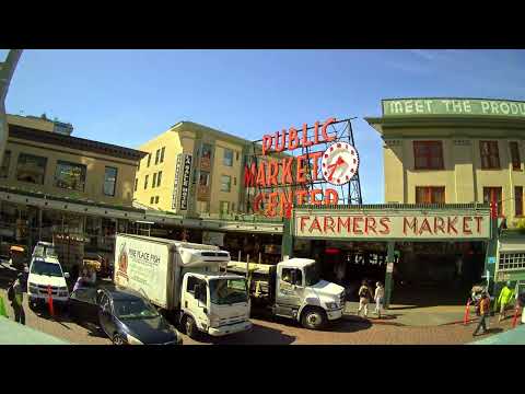 Preserving Our Famous Sign