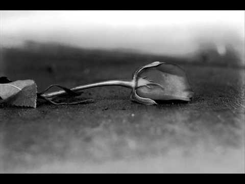 Art Abscons - Roses of Picardy (Glory and Sacrifice)