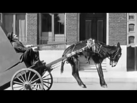 CHARLOT FACCHINO MUSICISTA ( charlie chaplin ) - 2017