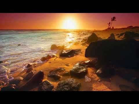 Deewana Hai Dekho mp3