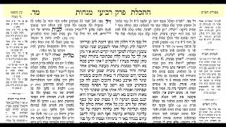 דף היומי מנחות דף מד