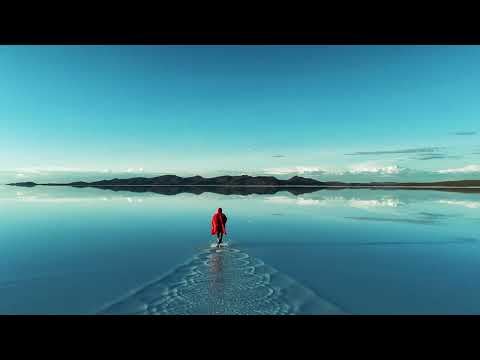 Mogli - paradox (official visualizer)